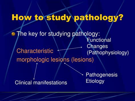 webpathology|free pathology images.